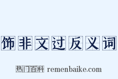饰非文过反义词是什么意思的图片